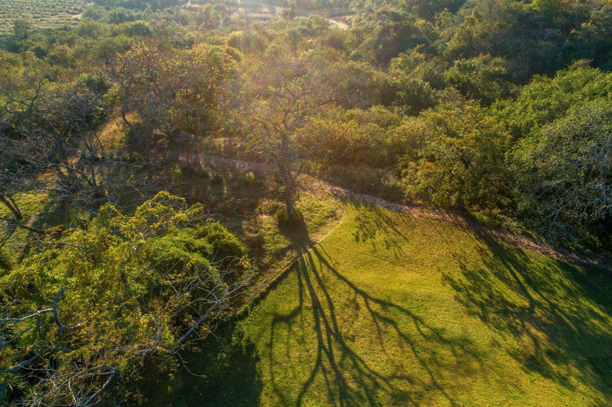 Chestnut Country Lodge Hazyview Ngoại thất bức ảnh
