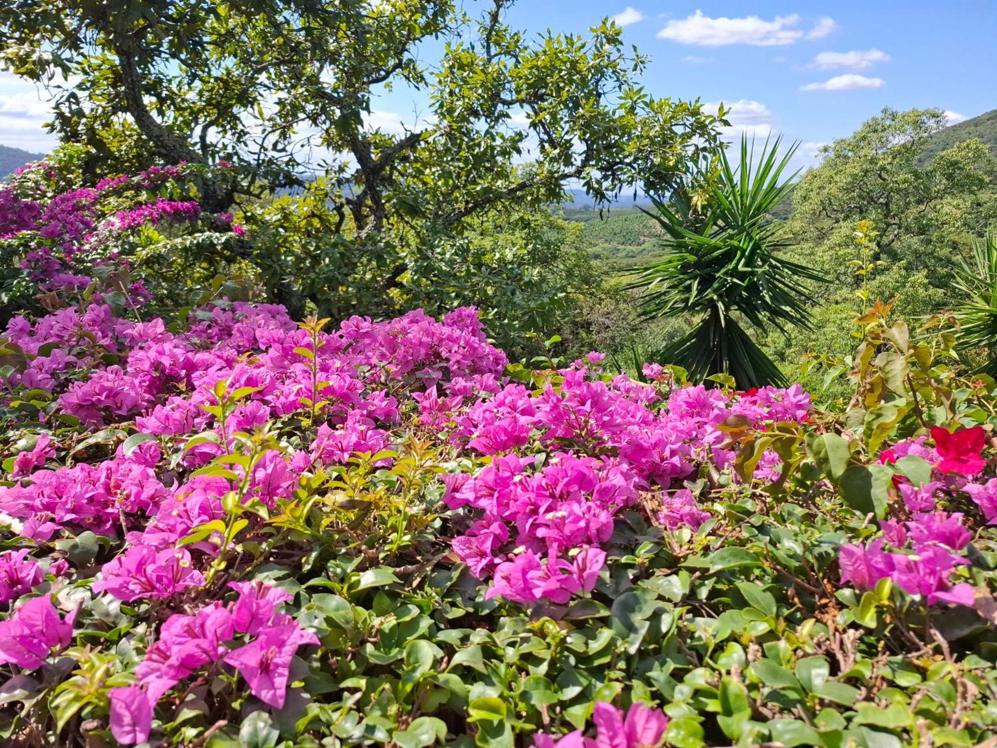 Chestnut Country Lodge Hazyview Ngoại thất bức ảnh